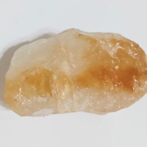 WhatsApp Image 2026-02-19 at 8.22.43 PM (1)